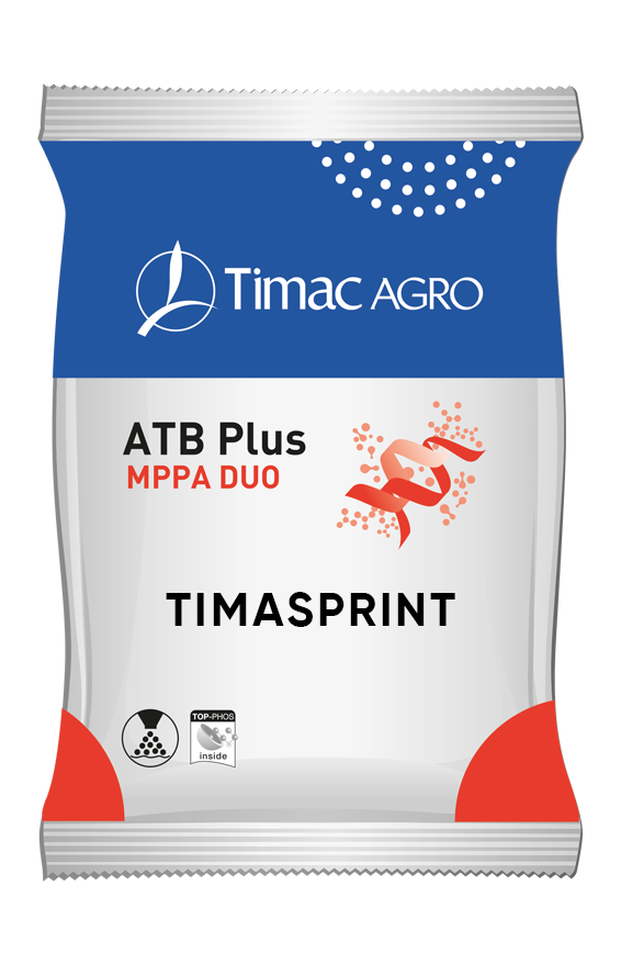 TIMASPRINT