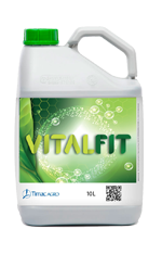 VITALFIT