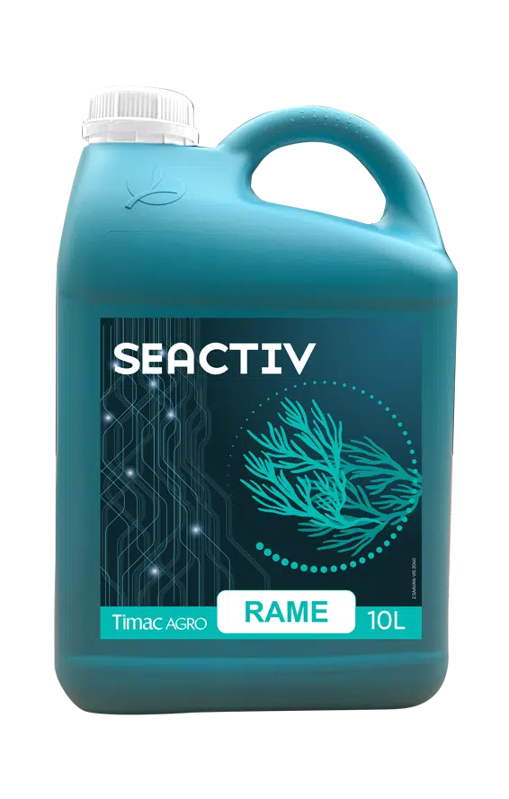SEACTIV RAME