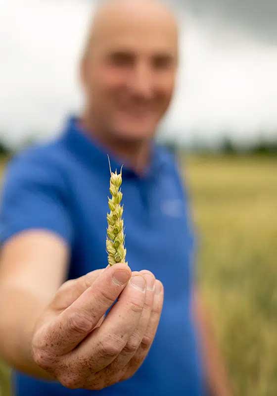 atc in the cornfield
