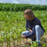 timacagro representatives inthefield france normandie