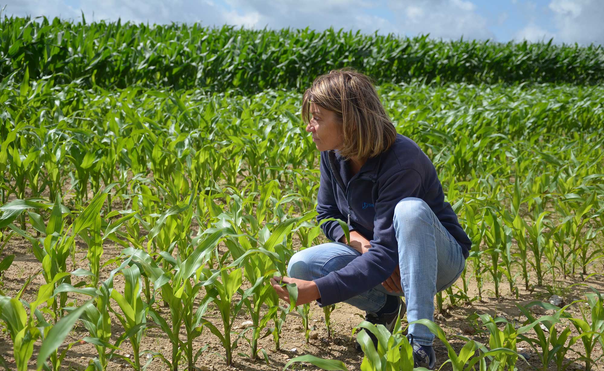 timacagro representatives inthefield france normandie