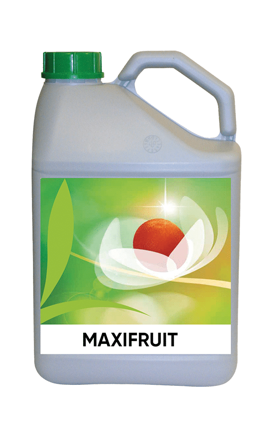 MAXIFRUIT