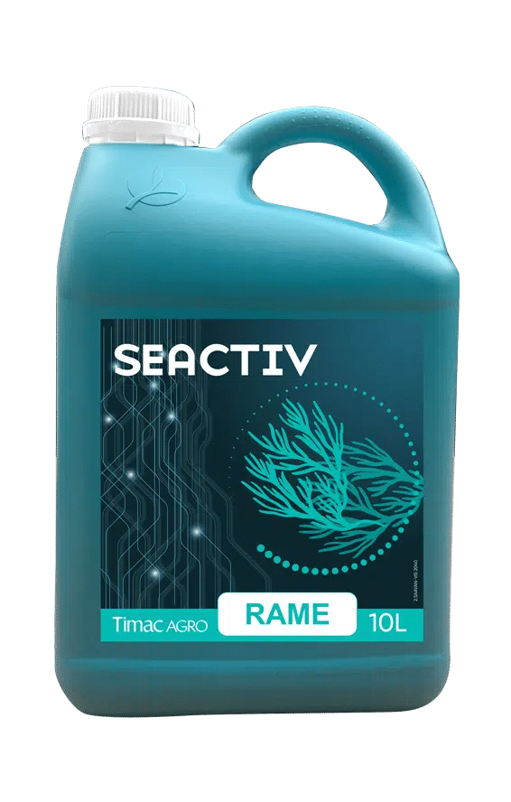 SEACTIV RAME