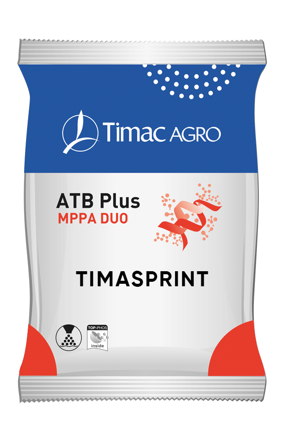 TIMASPRINT