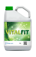 VITALFIT