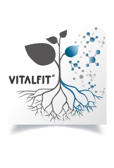 VITALFIT